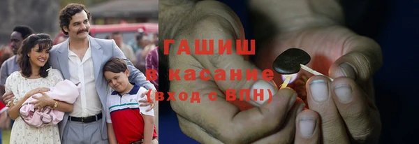 шишки Заречный