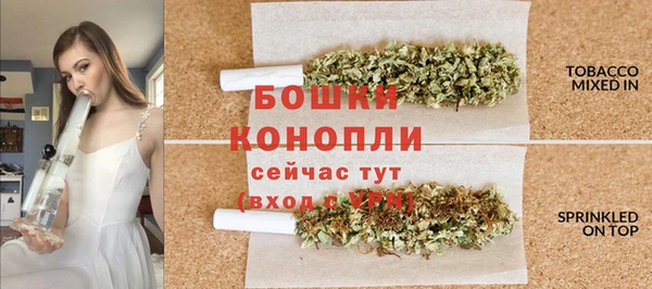 метадон Белокуриха