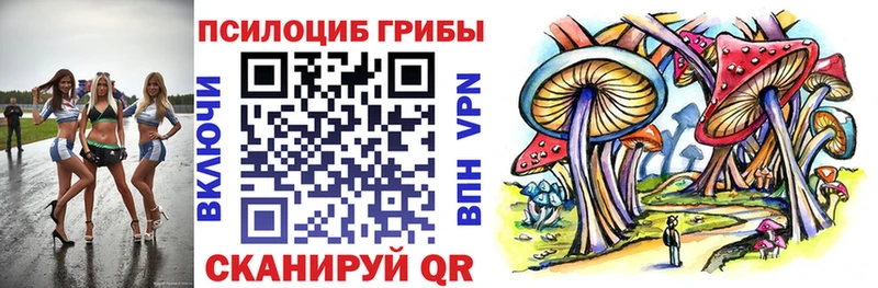 Псилоцибиновые грибы мицелий Высоковск